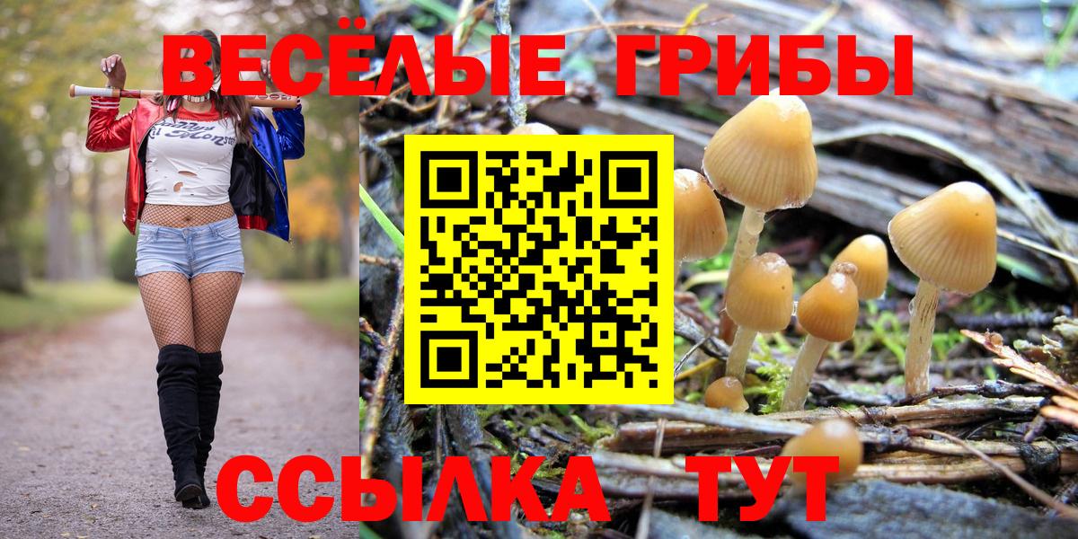 Новошахтинск  Псилоцибиновые грибы Magic Shrooms  купить наркотик  Вход с VPN 
